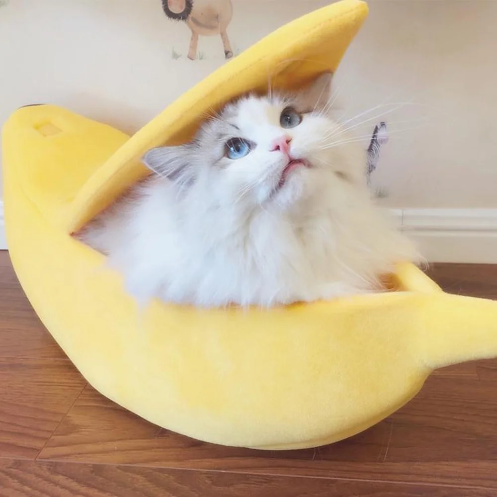 Funky, Fresh & Funny