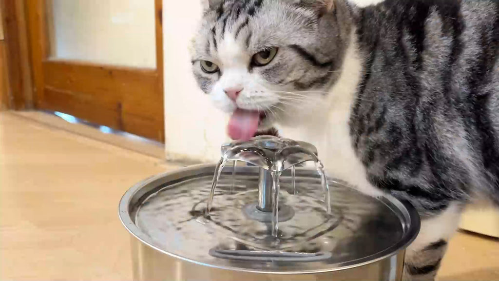 Stainless Steel Automatic Cat and Dog Water Fountain - 108 Oz (3.2L) Capacity