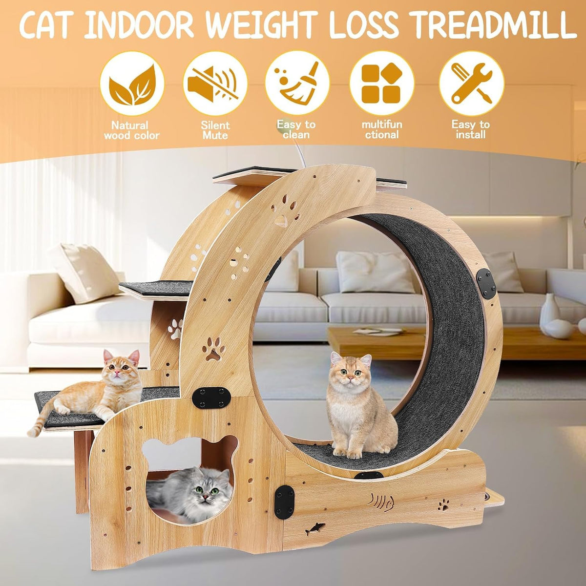 Upgraded 6-In-1 Cat Exercise Wheel: Large Silent Treadmill for Indoor Cats, Ideal Furniture and Toy for Endless Fun and Fitness