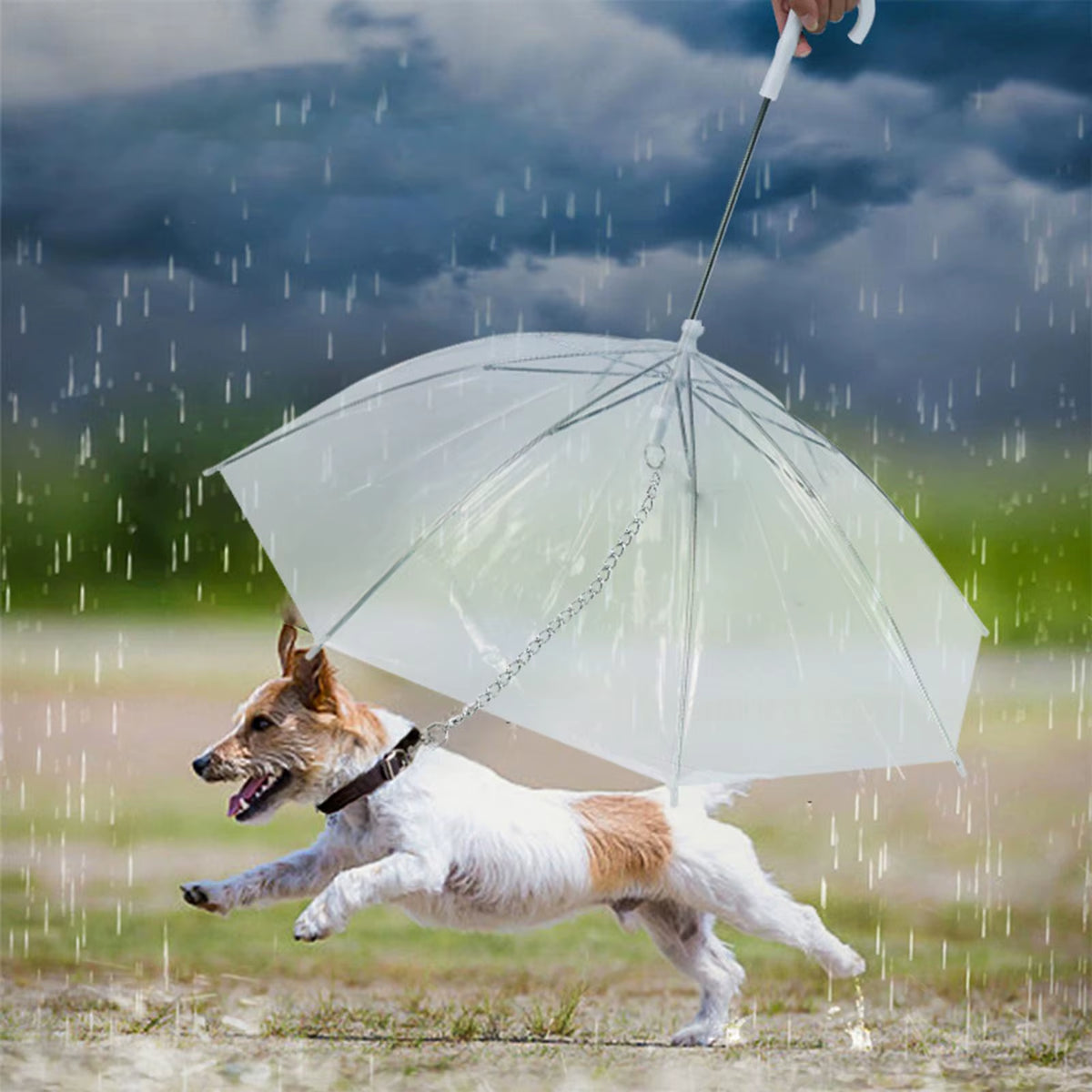 Pet Umbrella with Leash Clear Cover Rainproof Snowproof Walking Puppy Doggy Umbrella Adjustable for Small Dogs Dog Umbrella