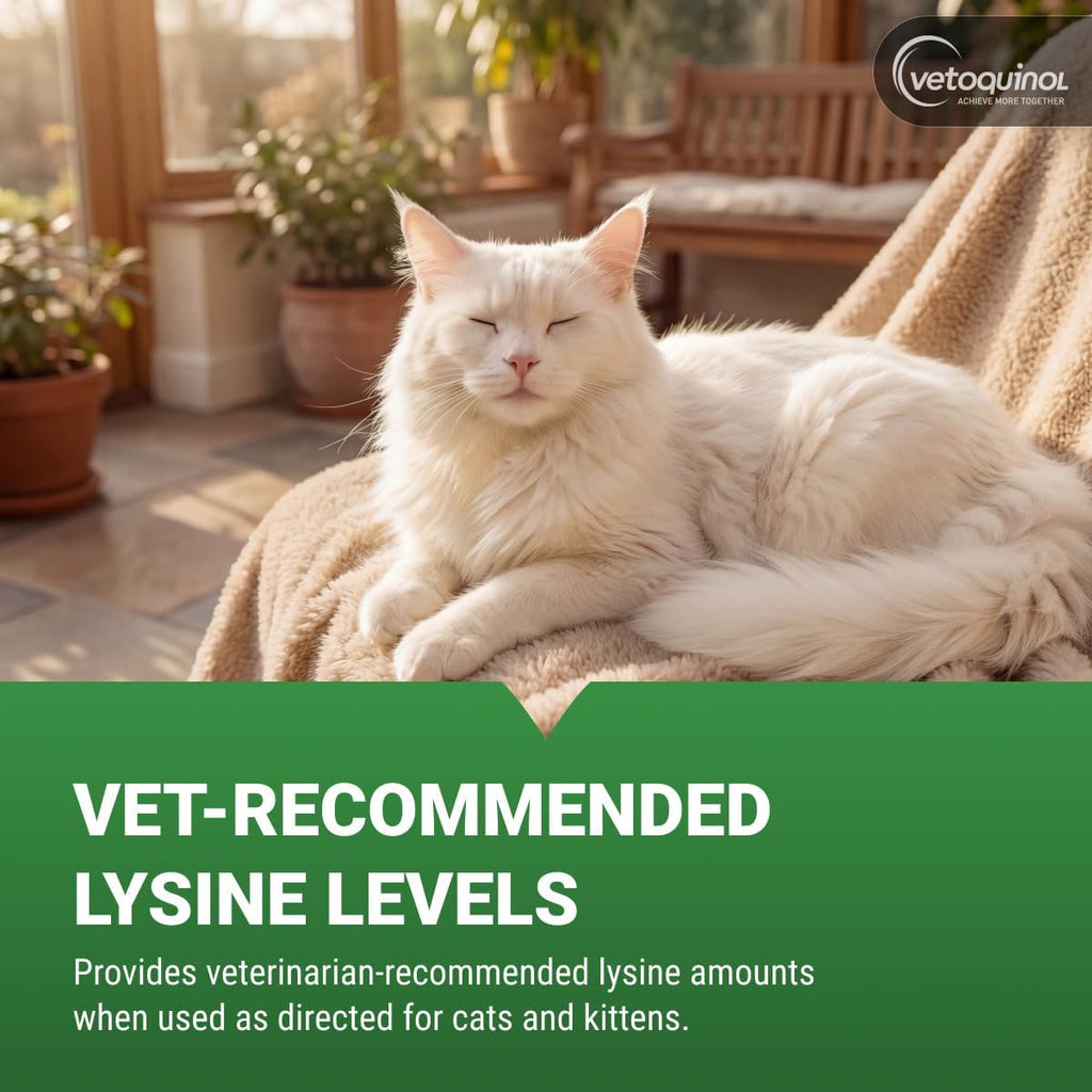 Viralys Lysine Supplement for Cats and Kittens - Promotes Eye Health, Respiratory Function, and Immune Support - Palatable Oral Powder for Convenient Daily Administration - 100 Grams
