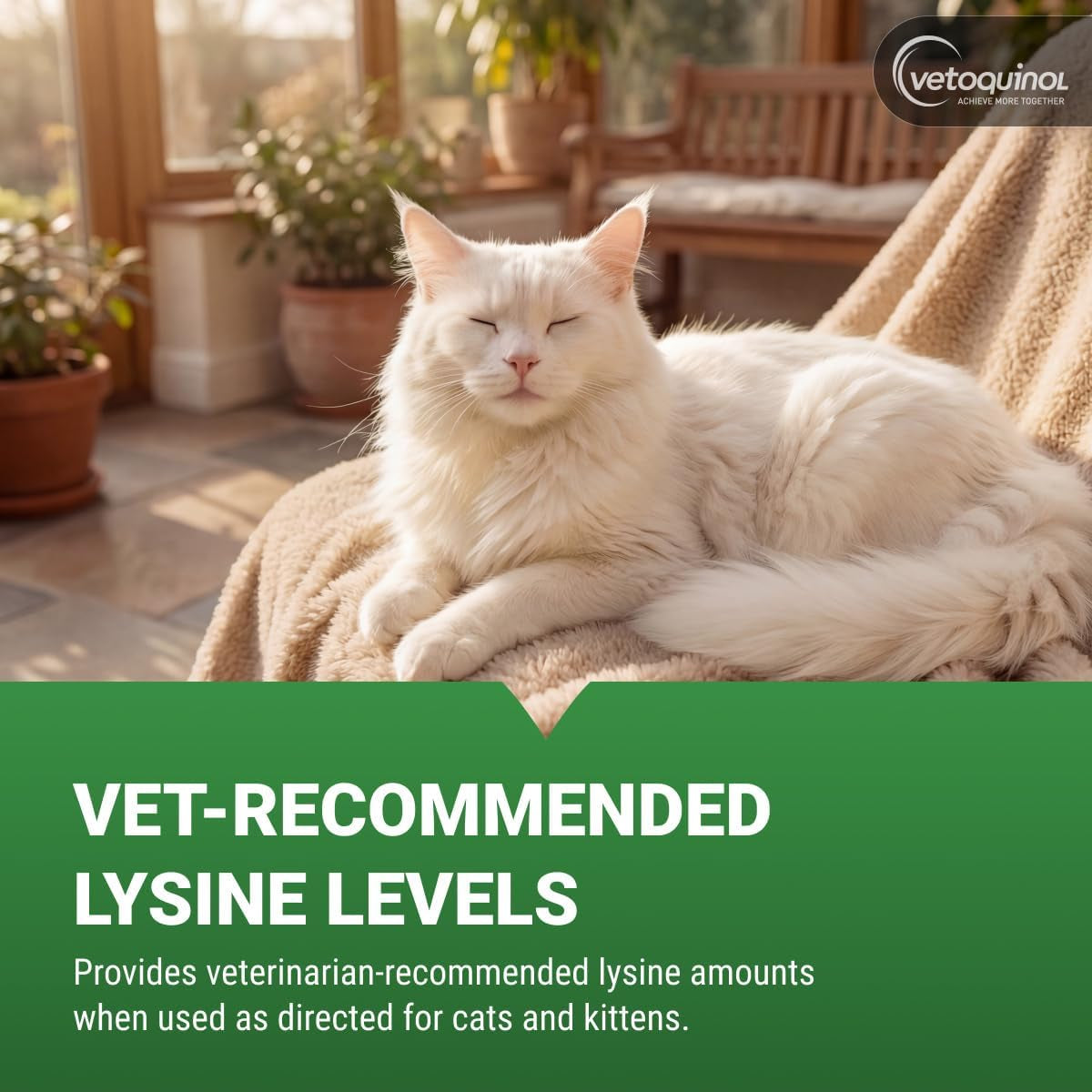 Viralys Lysine Supplement for Cats and Kittens - Promotes Eye Health, Respiratory Function, and Immune Support - Palatable Oral Powder for Convenient Daily Administration - 100 Grams