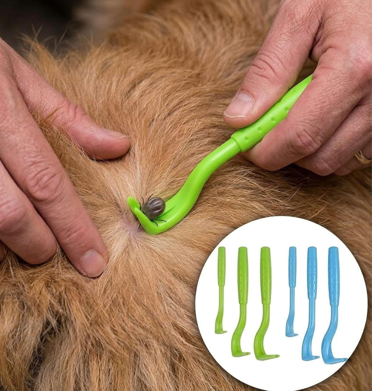 Tick Removal Tool Kit – 6-Pack for Humans and Pets | Includes Tick Identification Card | Safe and Effective Tick Removal for Dogs and Cats