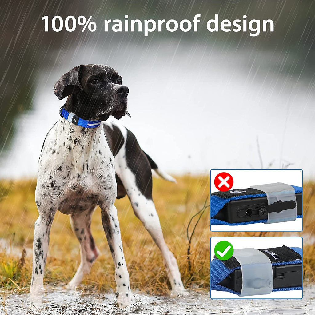 Rechargeable LED Dog Collar - Water-Resistant and Illuminated for Nighttime Walks