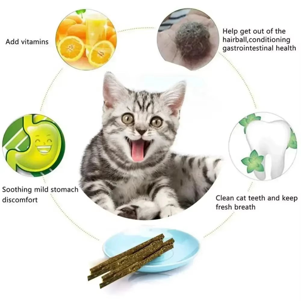 6-Piece Natural Matatabi Cat Sticks - Silvervine Chew Toys for Dental Care and Playtime