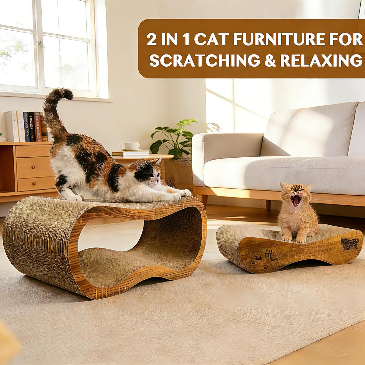 2-in-1 Cat Scratcher Pad for Indoor Cats