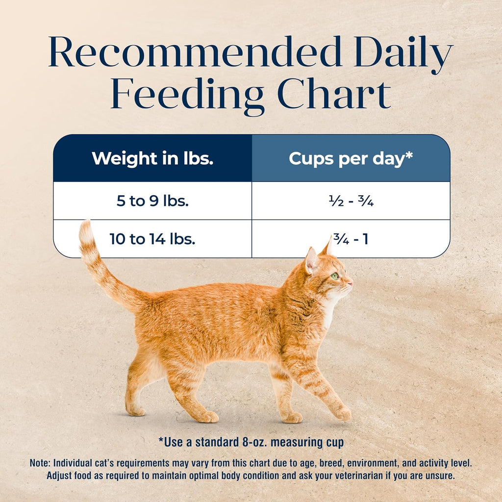 Basics Grain-Free Dry Cat Food with Turkey, 11 lbs