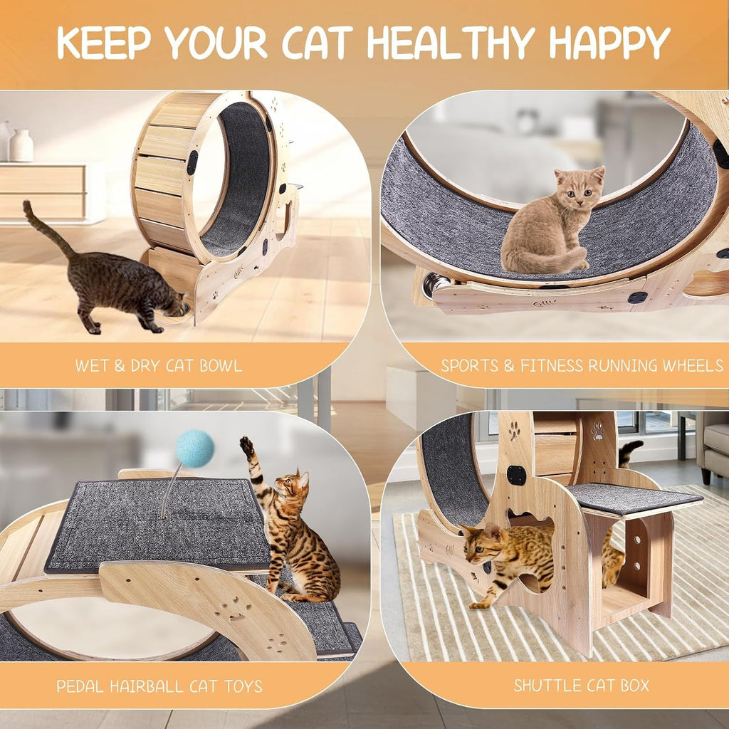 Upgraded 6-In-1 Cat Exercise Wheel: Large Silent Treadmill for Indoor Cats, Ideal Furniture and Toy for Endless Fun and Fitness