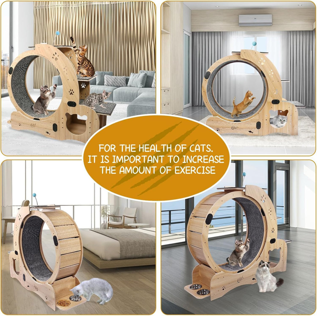 Upgraded 6-In-1 Cat Exercise Wheel: Large Silent Treadmill for Indoor Cats, Ideal Furniture and Toy for Endless Fun and Fitness