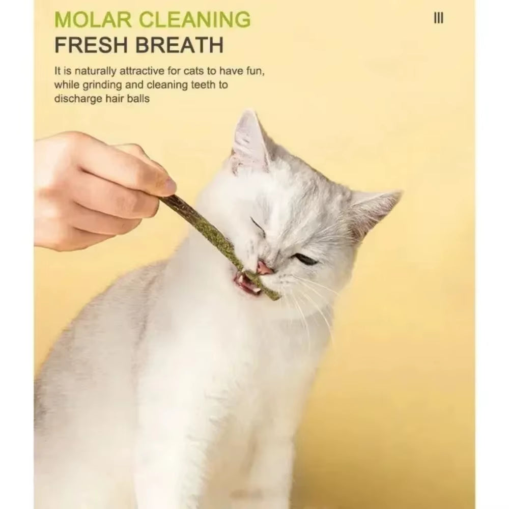 6-Piece Natural Matatabi Cat Sticks - Silvervine Chew Toys for Dental Care and Playtime