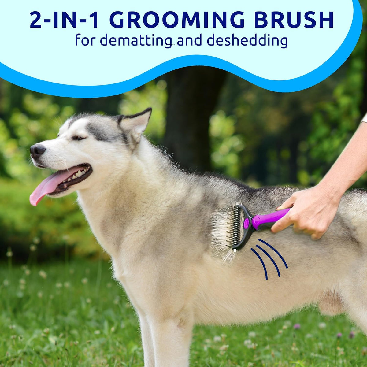 Deshedding Brush and Metal Comb Grooming Set for Cats and Dogs