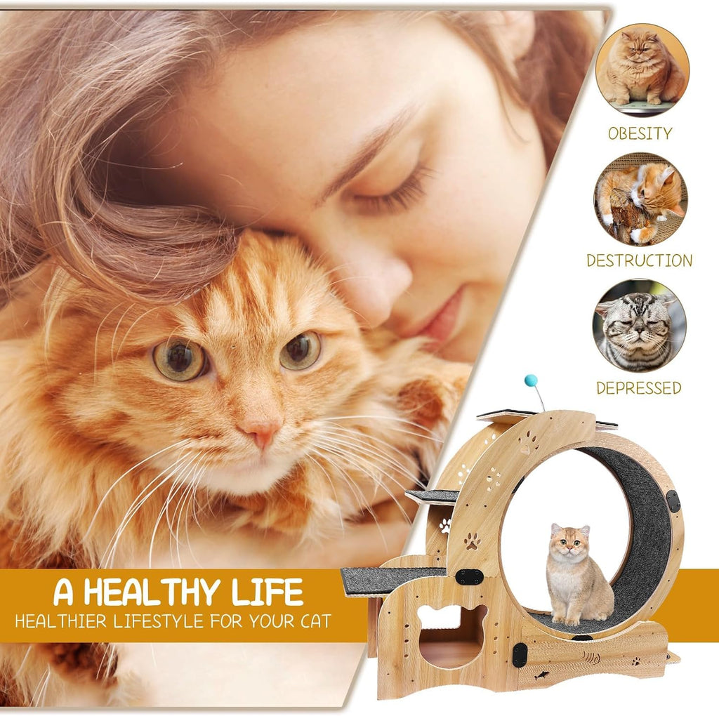 Upgraded 6-In-1 Cat Exercise Wheel: Large Silent Treadmill for Indoor Cats, Ideal Furniture and Toy for Endless Fun and Fitness
