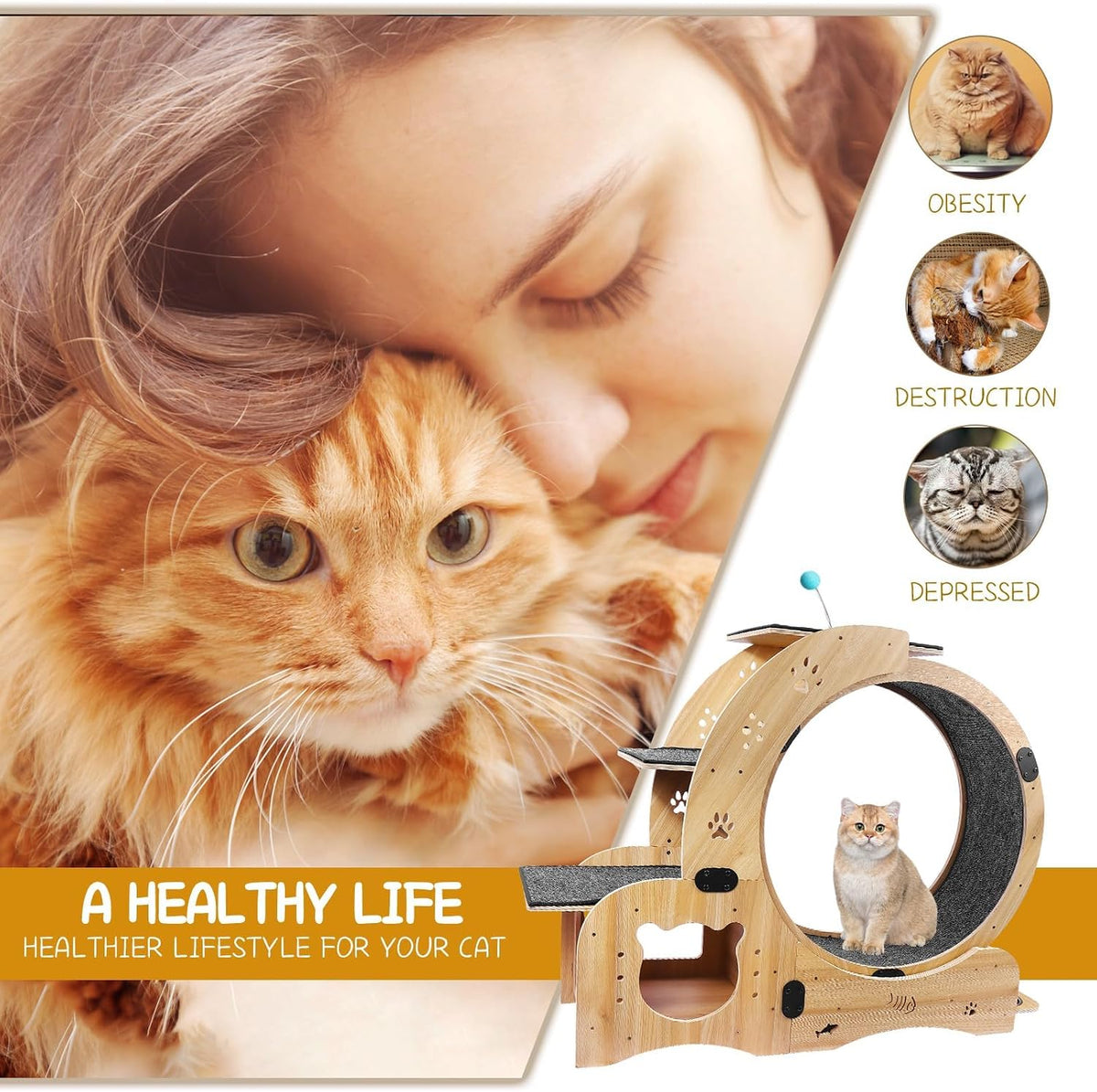 Upgraded 6-In-1 Cat Exercise Wheel: Large Silent Treadmill for Indoor Cats, Ideal Furniture and Toy for Endless Fun and Fitness
