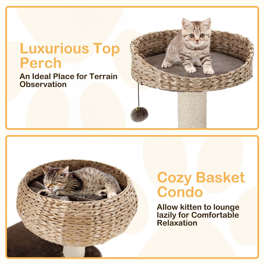 41-Inch Artisan Cat Tree Tower with Natural Bowl Design and Two Perches