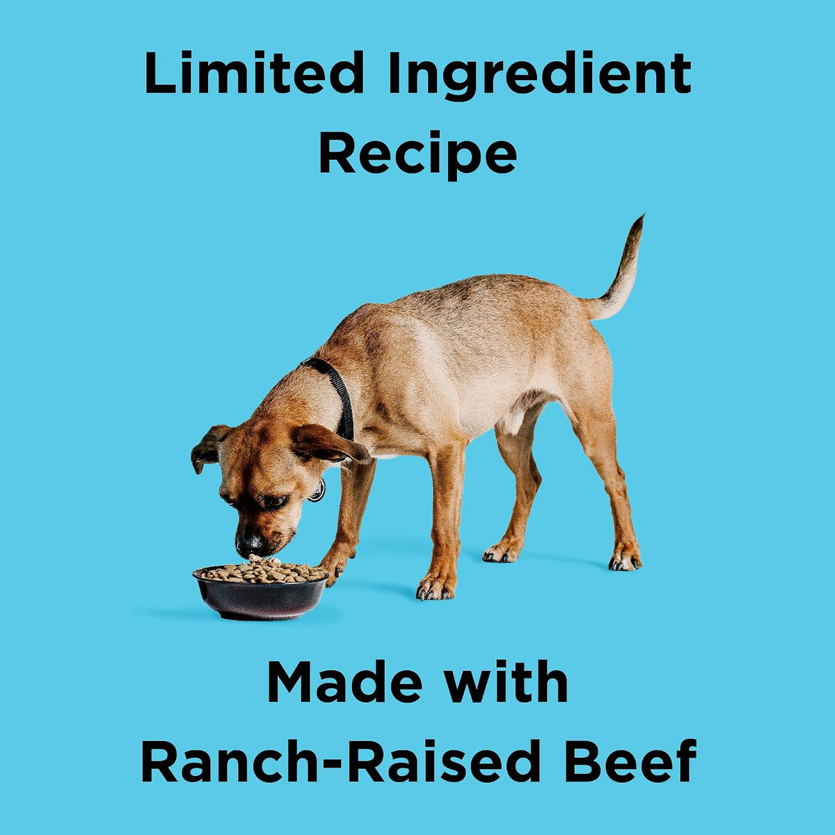 Liberty Grain-Free Dry Dog Food, Beef Recipe - High Protein, Fresh Meat Formula, Made in the USA, 4 lbs