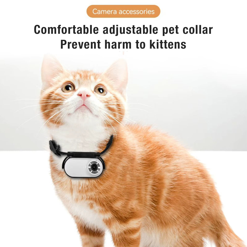 Pet Collar Camera with 120° Lens, OTG Connection, Adjustable Magnetic Design for Outdoor Use - Ideal for Dogs and Cats