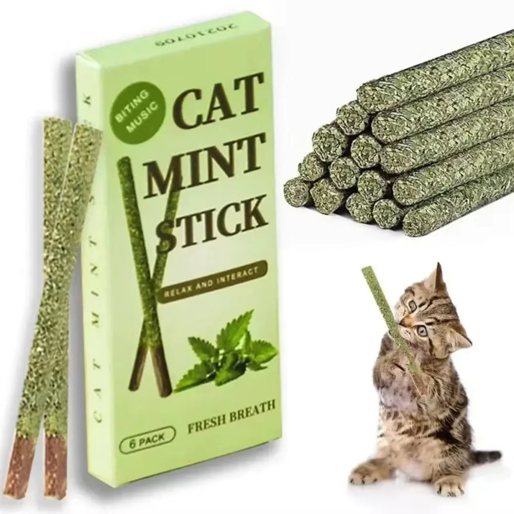 6-Piece Natural Matatabi Cat Sticks - Silvervine Chew Toys for Dental Care and Playtime