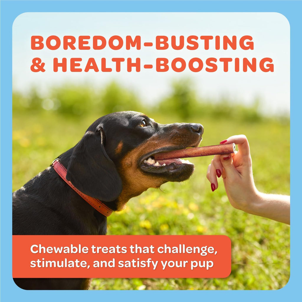 Premium USA Beef Collagen Chews for Dogs – Single Ingredient, 30 Long-Lasting Sticks