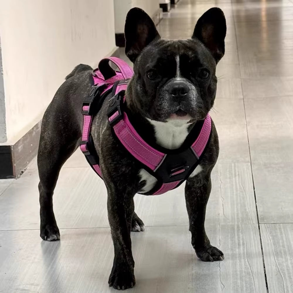 Durable Portable Harness Vest for Medium to Large Dogs - Ideal for Pitbulls, Shepherds, and Labradors