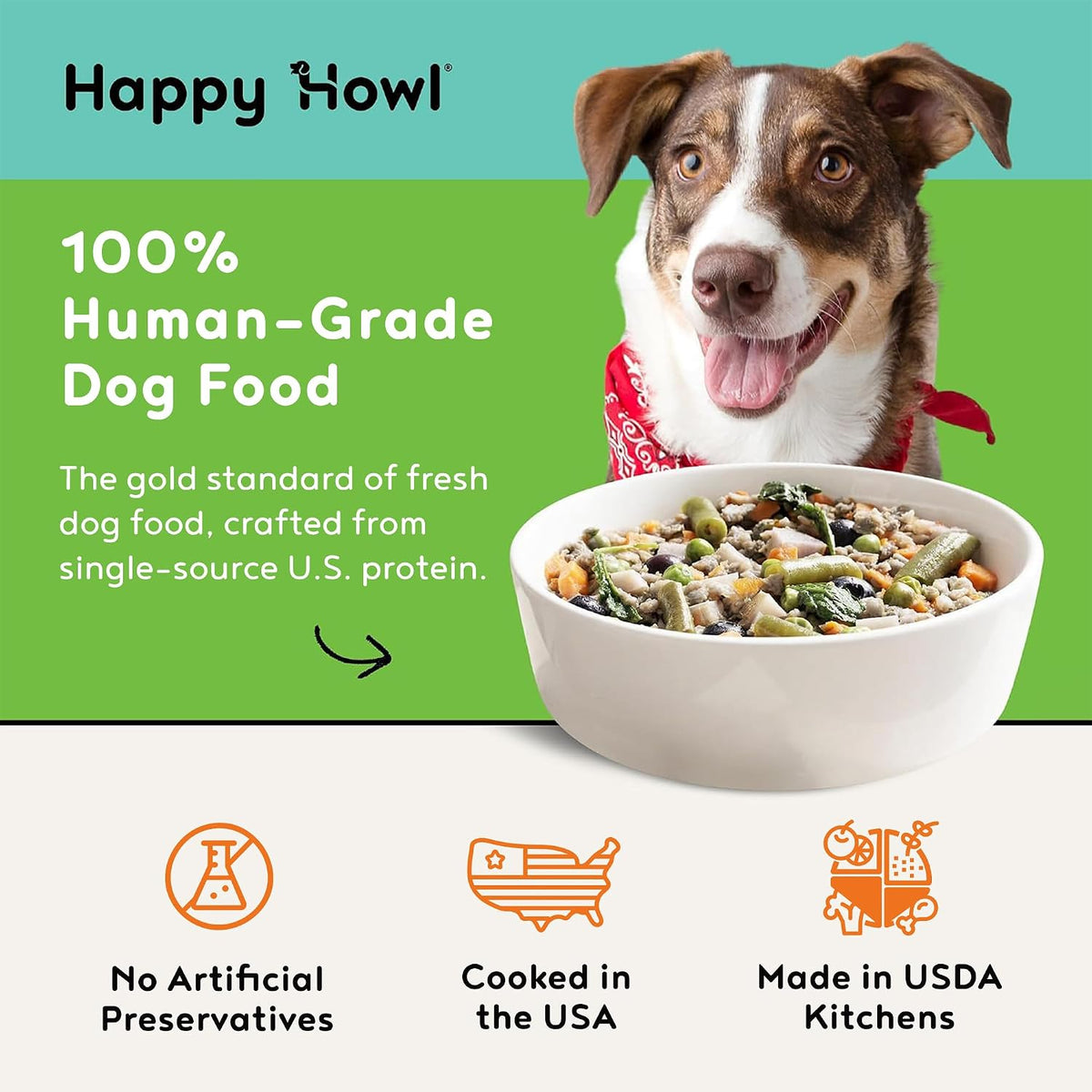 Gourmet Turkey Feast Dog Food Sample Pack, Human-Grade, 3 x 14.6 oz