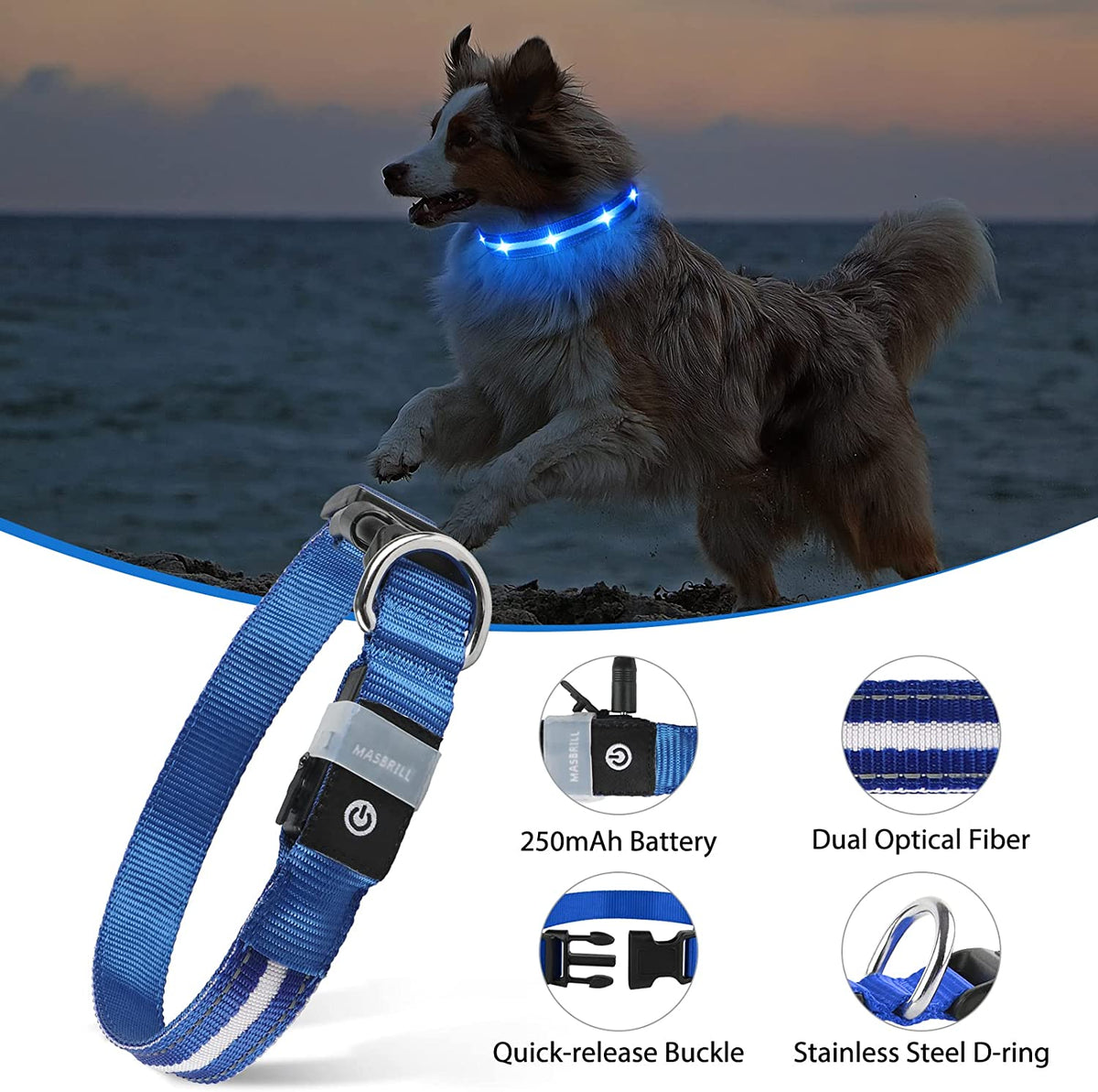 Rechargeable LED Dog Collar - Water-Resistant and Illuminated for Nighttime Walks