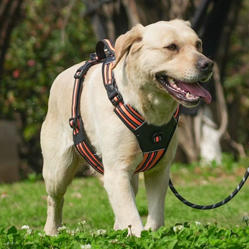 Durable Portable Harness Vest for Medium to Large Dogs - Ideal for Pitbulls, Shepherds, and Labradors