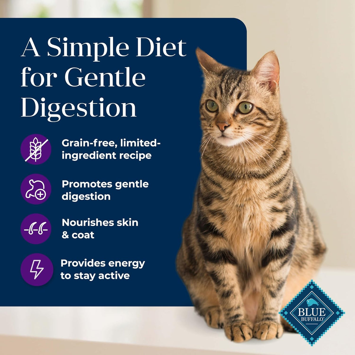 Basics Grain-Free Dry Cat Food with Turkey, 11 lbs