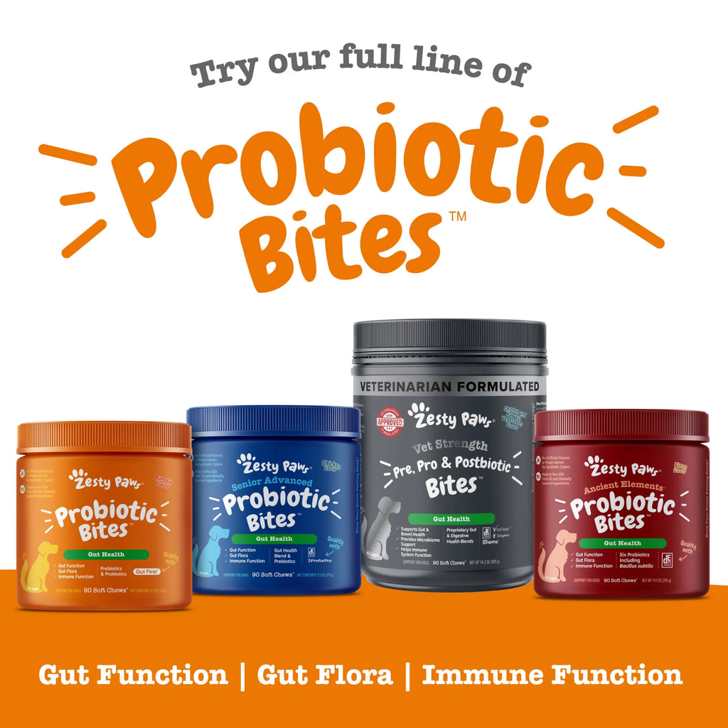 Pumpkin Flavor Probiotic Bites for Dogs, 60 Count Supplement