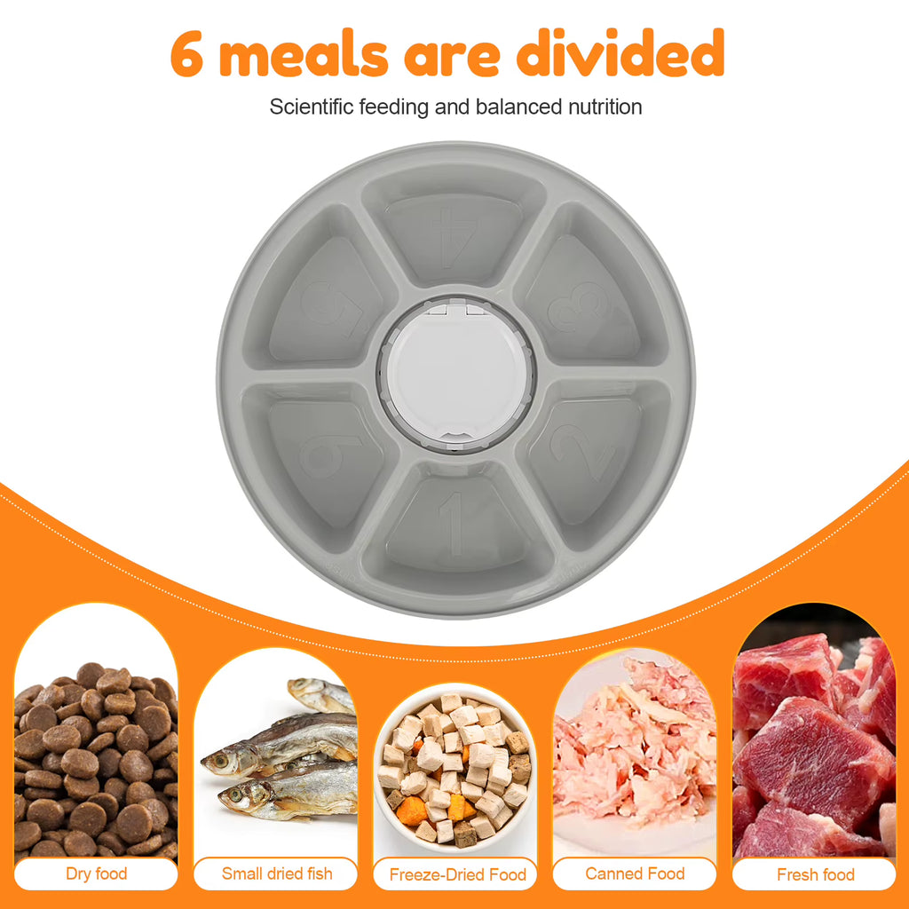 Pet Automatic Timing Feeder Intelligent Pet Feeder with Timer 6 Meals Pet Dry Wet Food Dispenser Automatic Pet Bowl Supplies