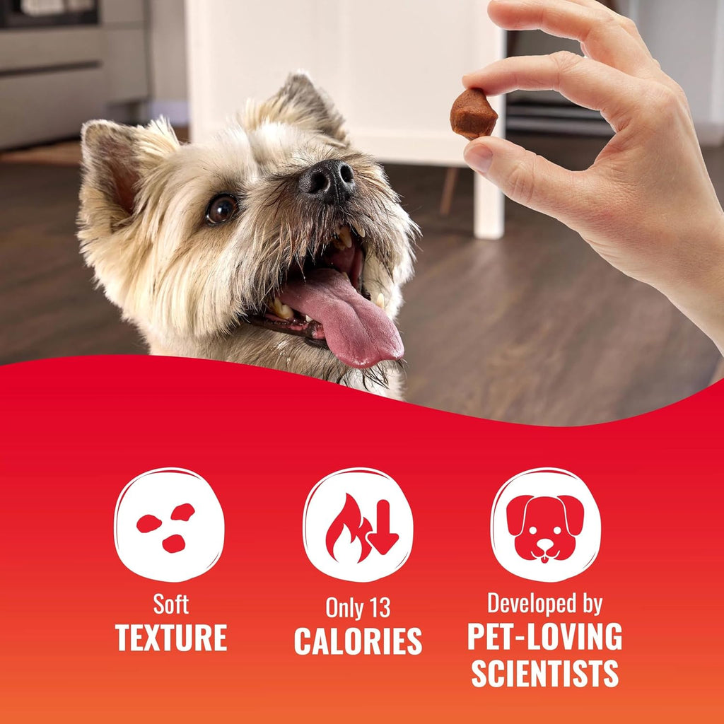 Good 'N' Tasty Kabob Bites Soft and Chewy Dog Treats, 4 oz (12 Pack)