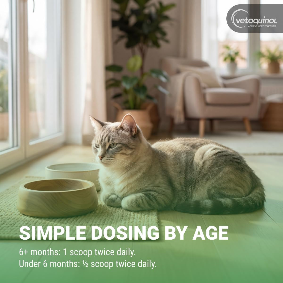 Viralys Lysine Supplement for Cats and Kittens - Promotes Eye Health, Respiratory Function, and Immune Support - Palatable Oral Powder for Convenient Daily Administration - 100 Grams