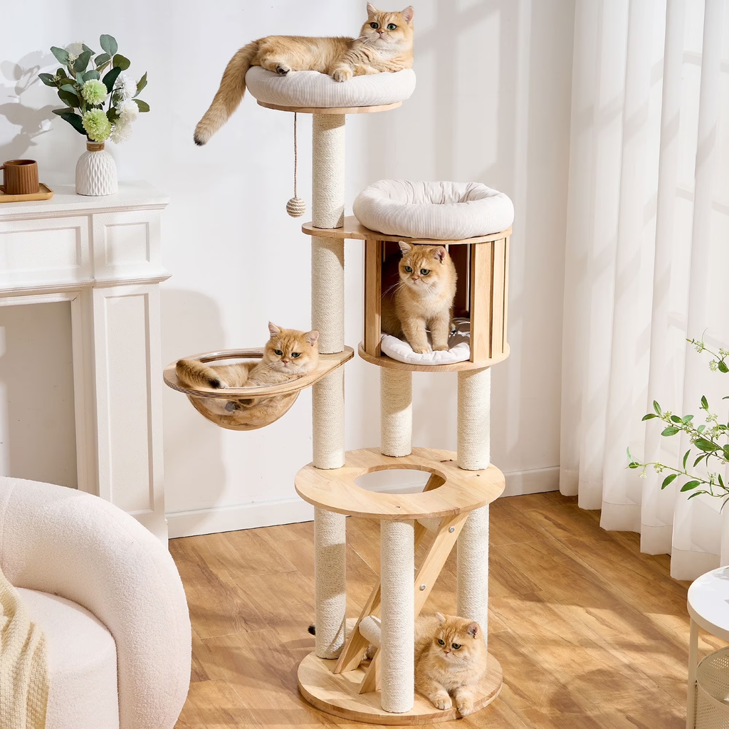 797Audio Premium Solid Wood Cat Tower - 61" Modern Multi-Level Climbing Structure with Sisal Scratching Posts, Cat Condo, Capsule, and Ladder for Large Indoor Cats