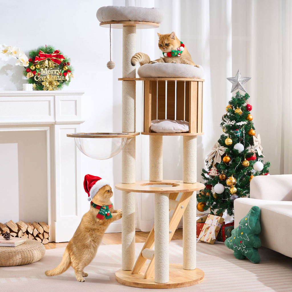 797Audio Premium Solid Wood Cat Tower - 61" Modern Multi-Level Climbing Structure with Sisal Scratching Posts, Cat Condo, Capsule, and Ladder for Large Indoor Cats
