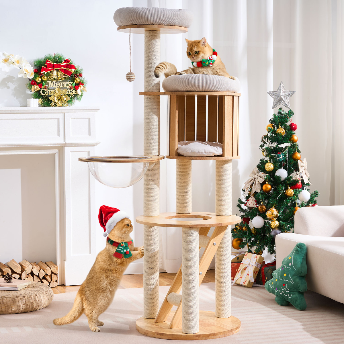 797Audio Premium Solid Wood Cat Tower - 61" Modern Multi-Level Climbing Structure with Sisal Scratching Posts, Cat Condo, Capsule, and Ladder for Large Indoor Cats