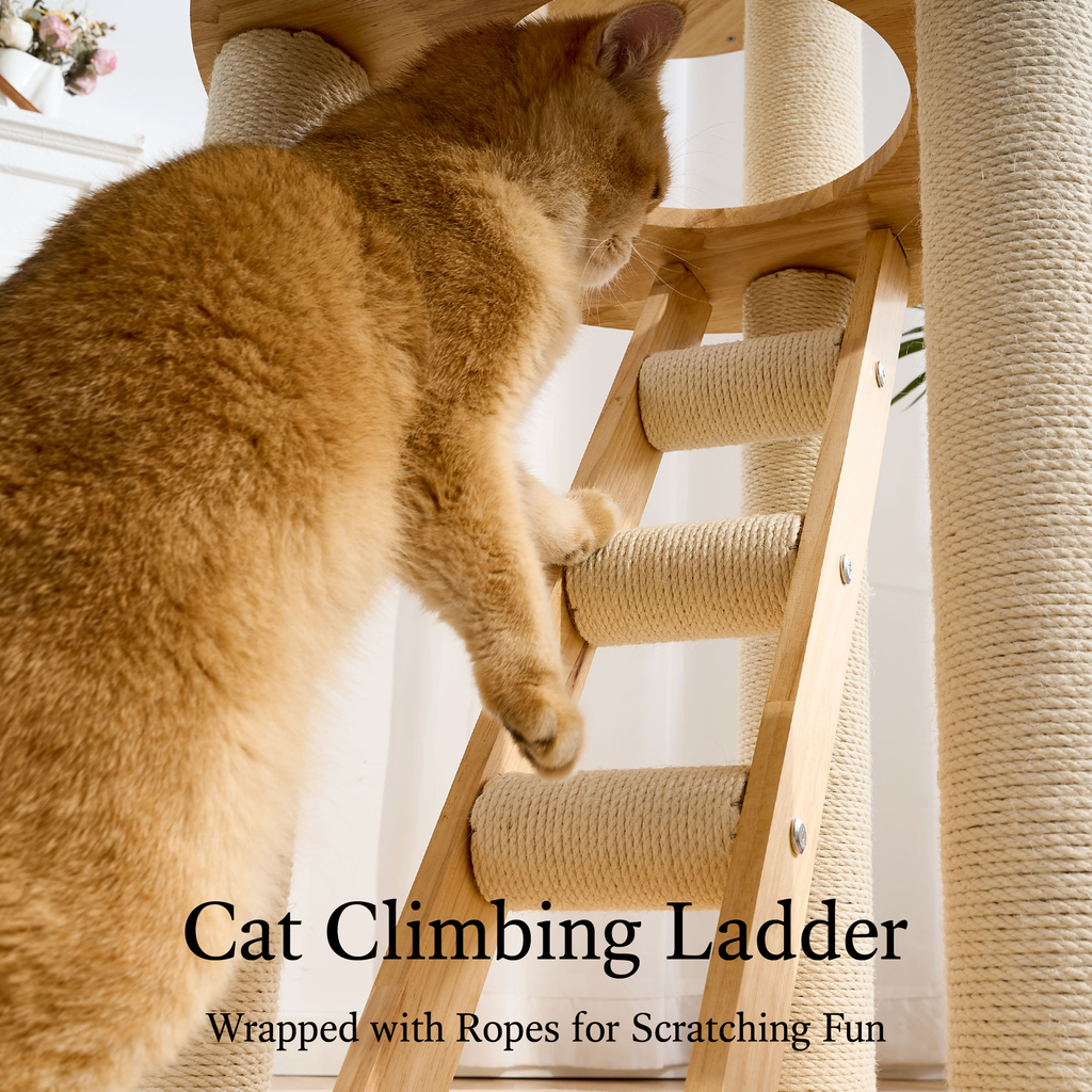 797Audio Premium Solid Wood Cat Tower - 61" Modern Multi-Level Climbing Structure with Sisal Scratching Posts, Cat Condo, Capsule, and Ladder for Large Indoor Cats