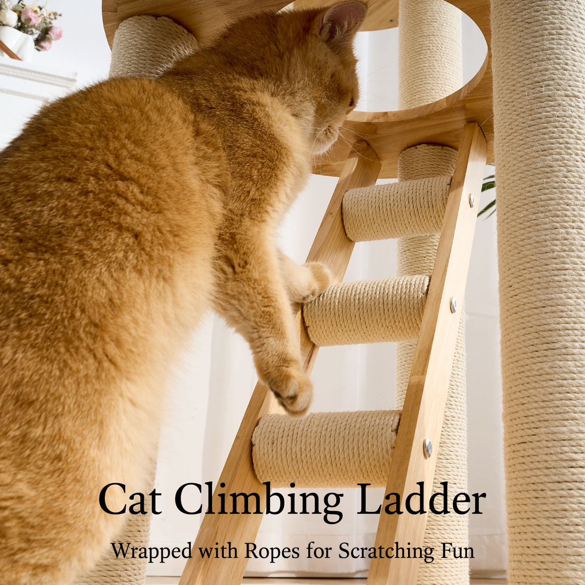797Audio Premium Solid Wood Cat Tower - 61" Modern Multi-Level Climbing Structure with Sisal Scratching Posts, Cat Condo, Capsule, and Ladder for Large Indoor Cats