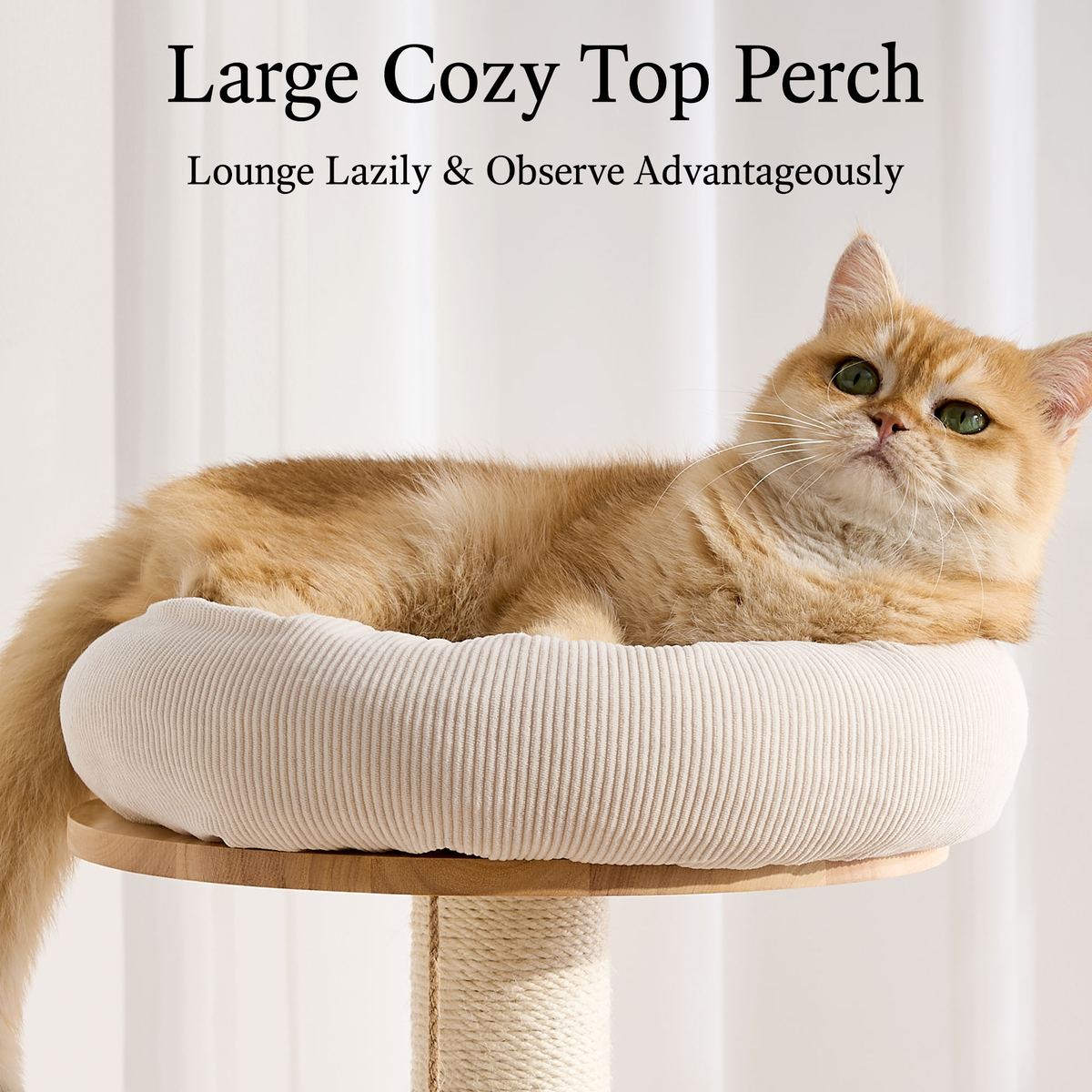 797Audio Premium Solid Wood Cat Tower - 61" Modern Multi-Level Climbing Structure with Sisal Scratching Posts, Cat Condo, Capsule, and Ladder for Large Indoor Cats