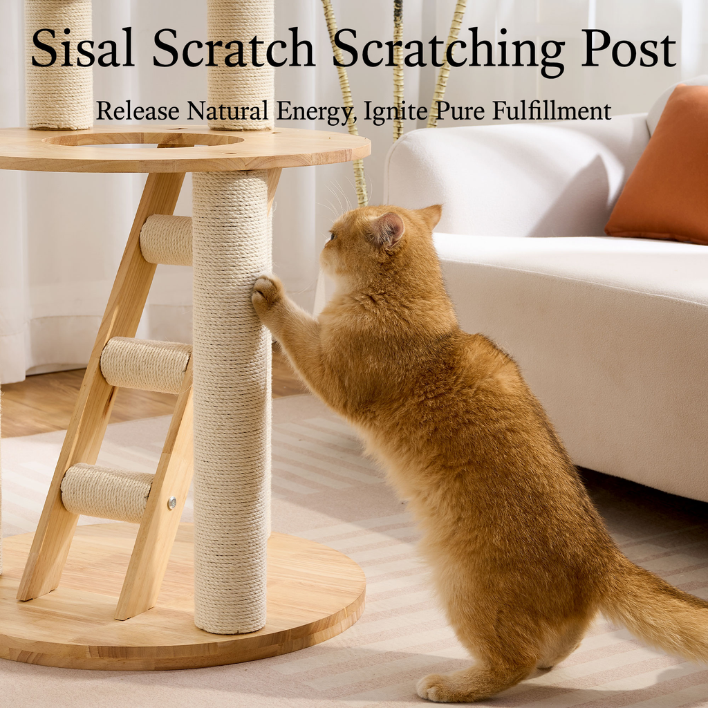 797Audio Premium Solid Wood Cat Tower - 61" Modern Multi-Level Climbing Structure with Sisal Scratching Posts, Cat Condo, Capsule, and Ladder for Large Indoor Cats