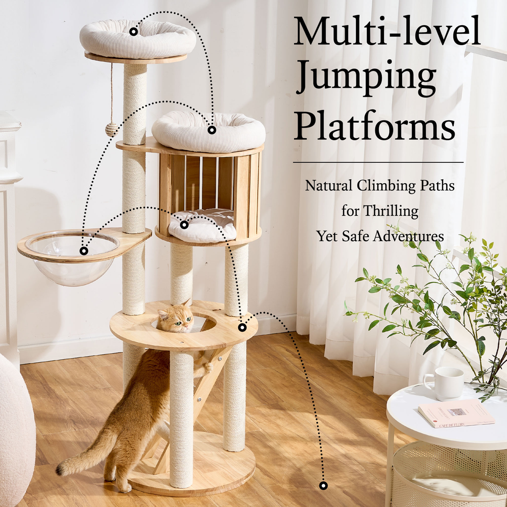 797Audio Premium Solid Wood Cat Tower - 61" Modern Multi-Level Climbing Structure with Sisal Scratching Posts, Cat Condo, Capsule, and Ladder for Large Indoor Cats