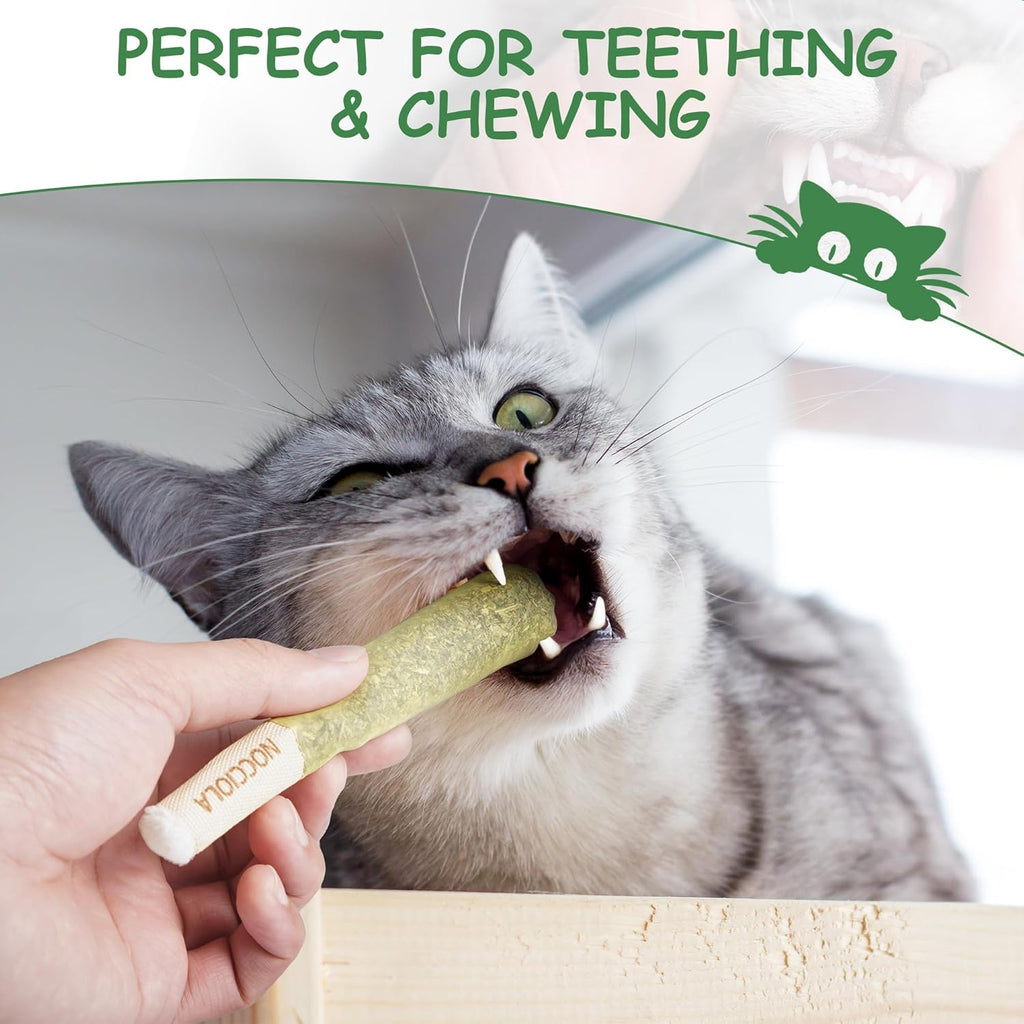 3-Pack Organic Catnip Toys for Cats - Safe Teething and Kicker Toys for Indoor Cats, Stress-Relieving Fun