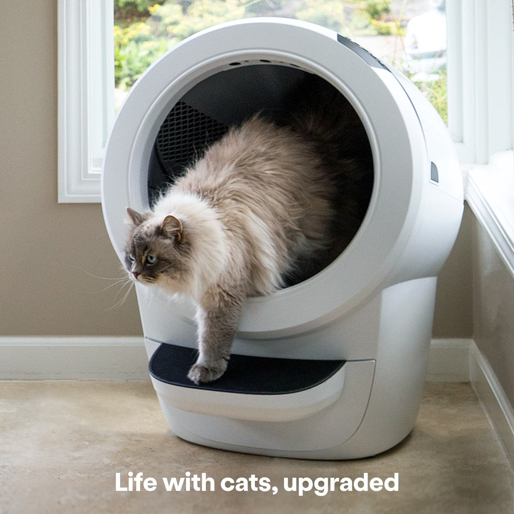 Litter-Robot 4 Core Bundle: Self-Cleaning Cat Litter Box with Accessories in White