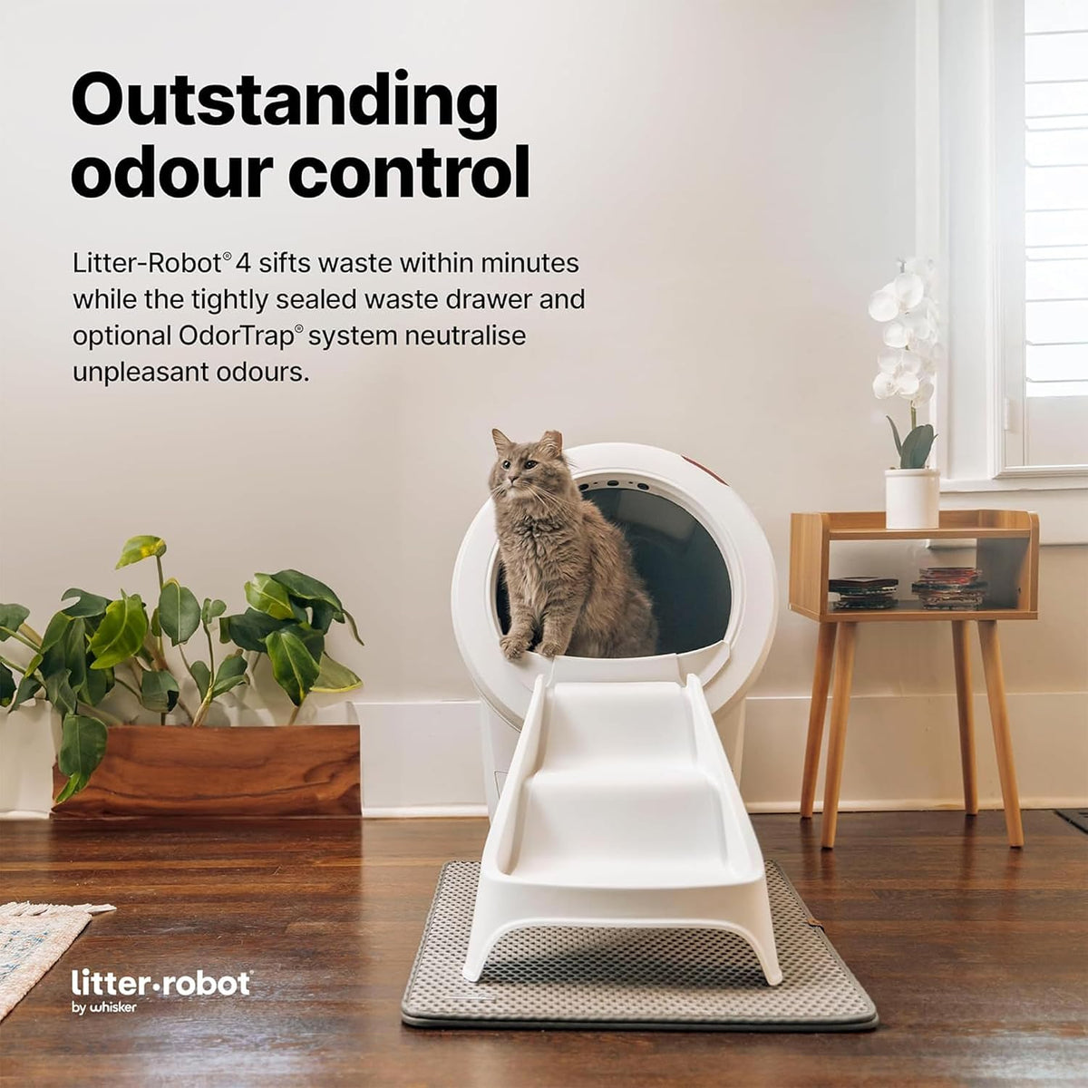 Litter-Robot 4 White Ramp