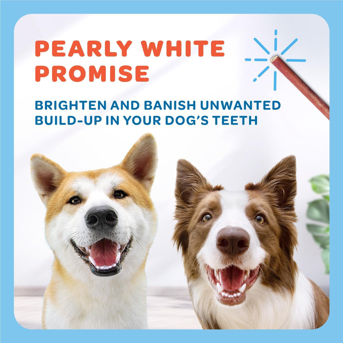 Premium USA Beef Collagen Chews for Dogs – Single Ingredient, 30 Long-Lasting Sticks