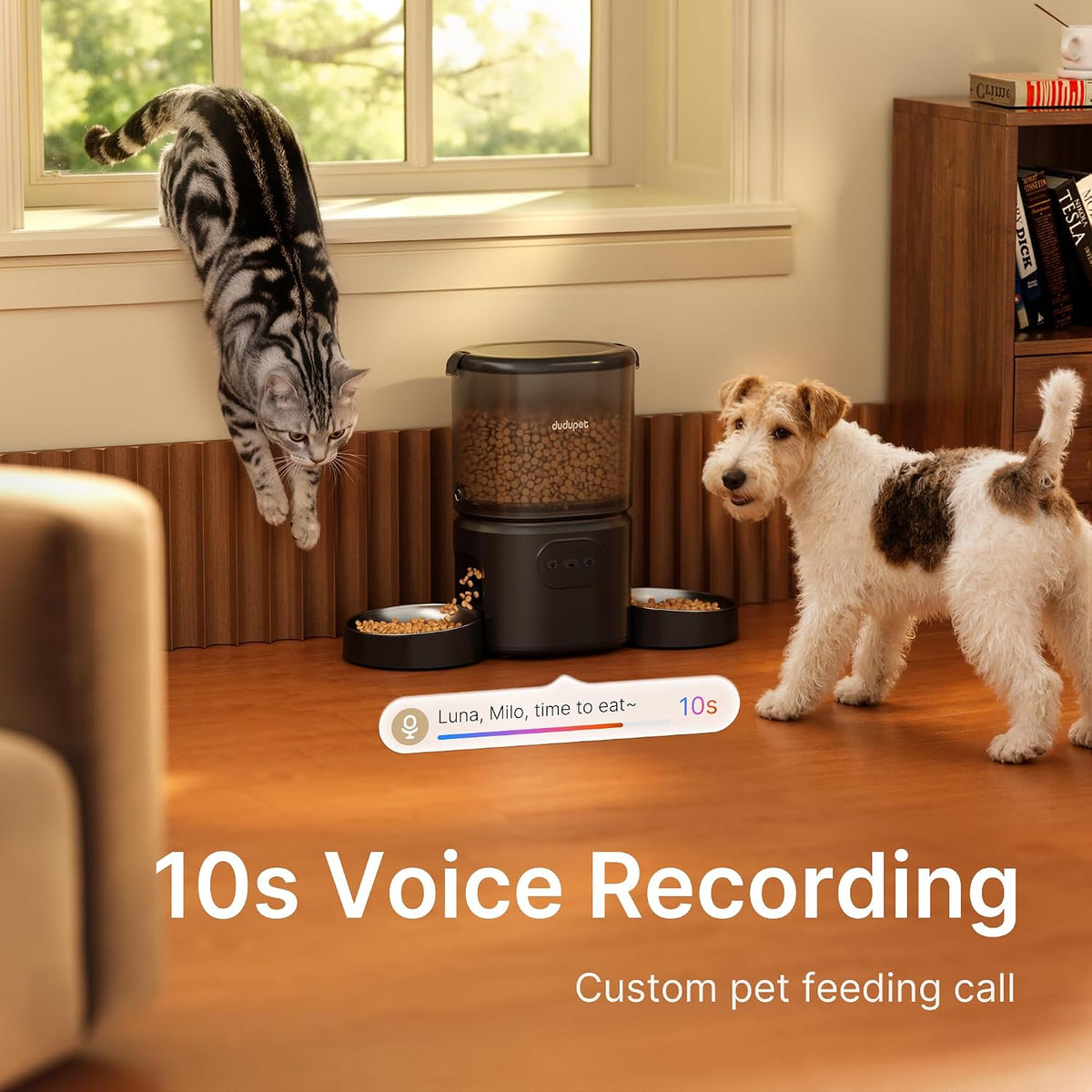 Revolutionary Automatic Dual Cat Feeder with 5G Wi-Fi App Control for Effortless Mealtime Management