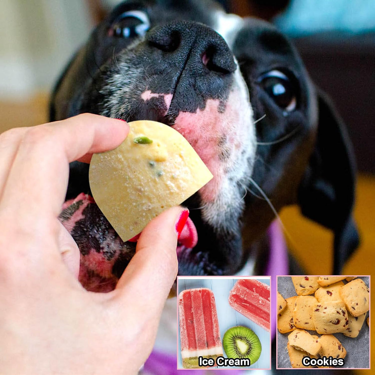 Silicone Dog Treat Molds with 6 Cavities for Small Dogs (10-25 lbs) - Reusable Frozen Popsicle Maker for Homemade Treats