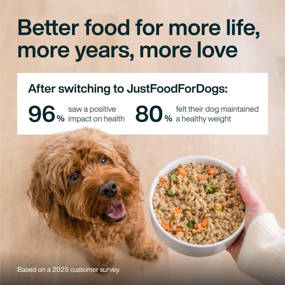 Pantry Fresh Human-Grade Wet Dog Food, Complete Meal or Topper, Beef & Potato Recipe - 12.5 Oz (Pack of 12)