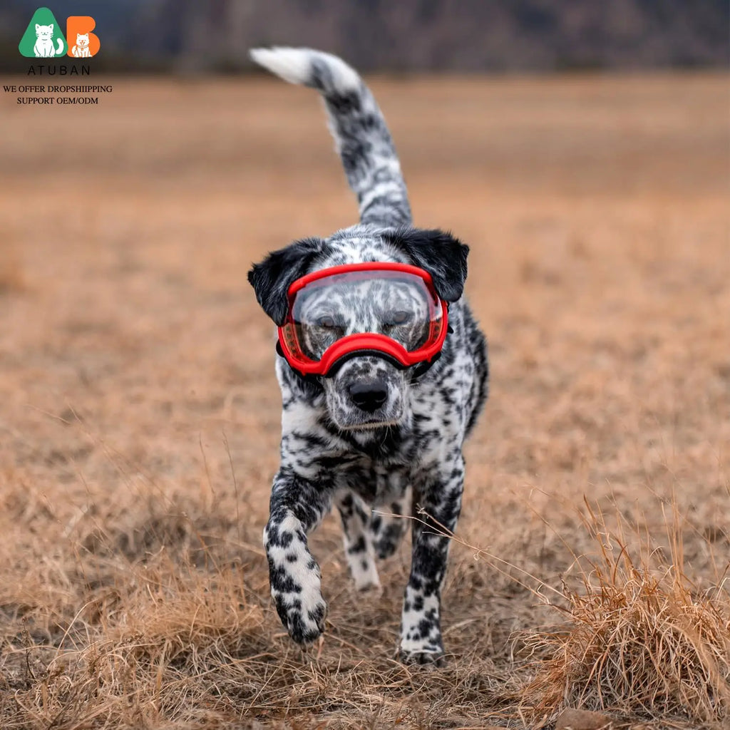 Dog Sunglasses with UV Protection and Adjustable Strap - Ski Goggles for Pets