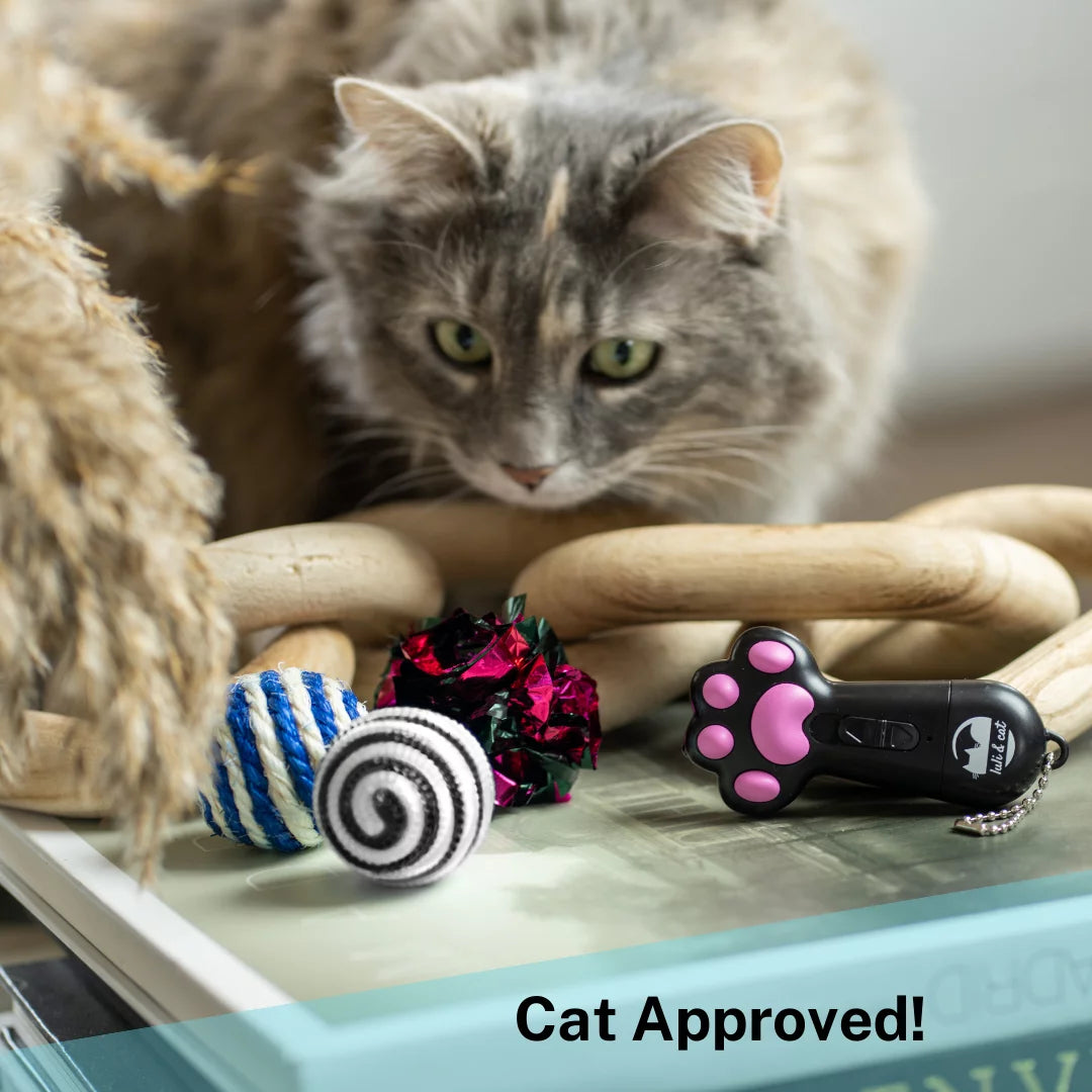 USB Rechargeable Cat Laser Toy - Interactive Gift Set for Cat Enthusiasts