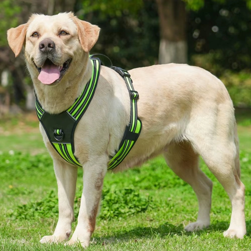 Durable Portable Harness Vest for Medium to Large Dogs - Ideal for Pitbulls, Shepherds, and Labradors