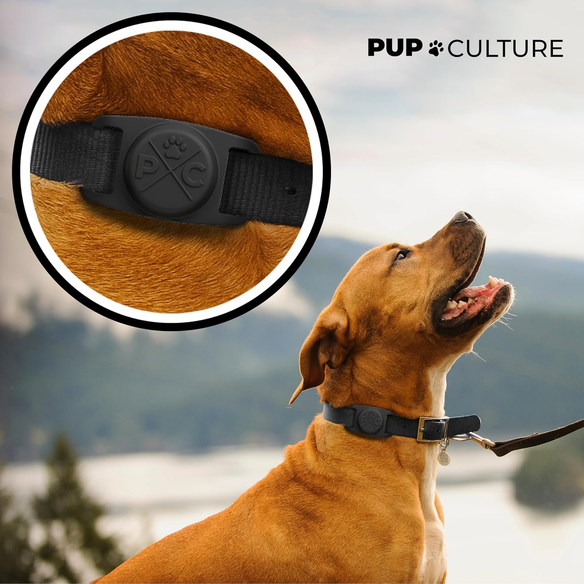 Airtag-Compatible Dog Collar | Durable Protective Holder for Tracking Pets with Apple Technology - Suitable for Dogs and Cats